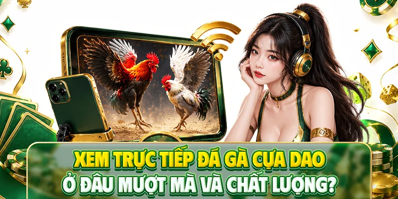 Xem trực tiếp đá gà cựa dao ở đâu mượt mà và chất lượng?